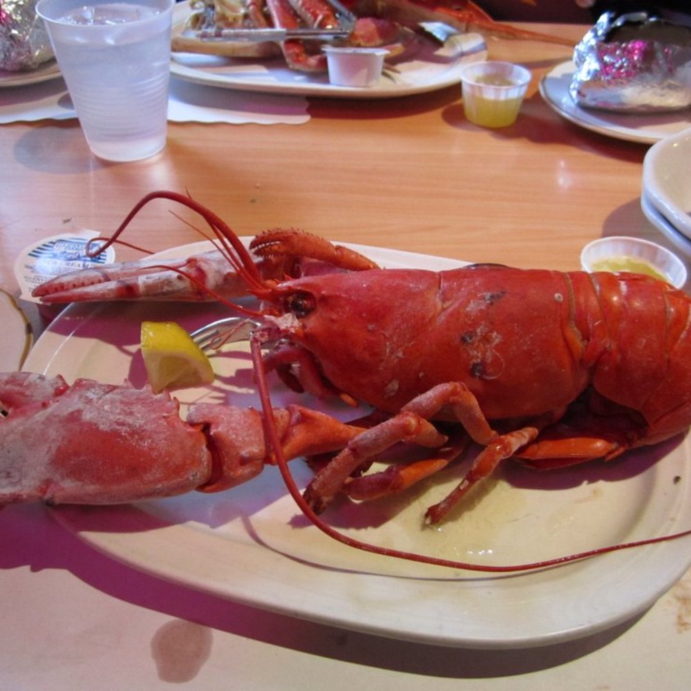 Pub 199 - The lobster that comes in the combo - Steakhouses Near Me - Mount Arlington, New Jersey Pub 199 - The lobster that comes in the combo - Steakhouses Near Me - Mount Arlington, New Jersey
