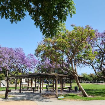 Branham Park - Parks Near Me - San Jose, California