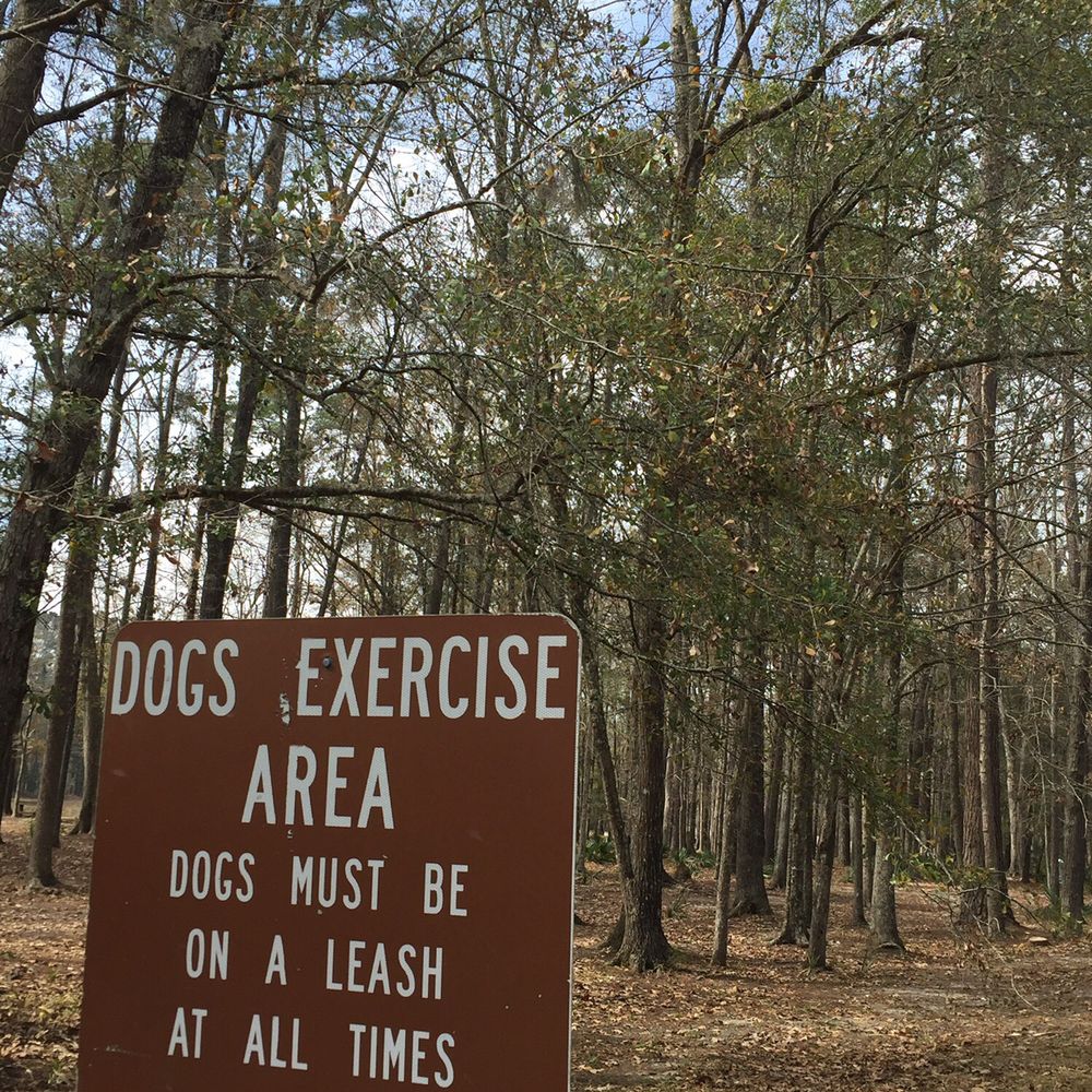 Tom Triplett Community Park - Dogs ARE allowed in this part of the park - Tennis Near Me - Pooler, Georgia Tom Triplett Community Park - Dogs ARE allowed in this part of the park - Tennis Near Me - Pooler, Georgia