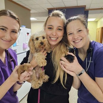 Wildcat Vet Services - Veterinarians Near Me - Manhattan, Kansas Wildcat Vet Services - Veterinarians Near Me - Manhattan, Kansas