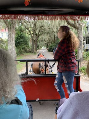 Sea Island Carriage Company by null