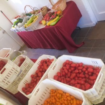 Moessner Farms - Tomatoes were freshly picked! - Specialty Food Near Me - Tehachapi, California