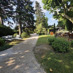 Hôtel de la Cité - The beautiful garden