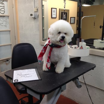 Petspa - Pet Sitting Near Me - Doral, Florida