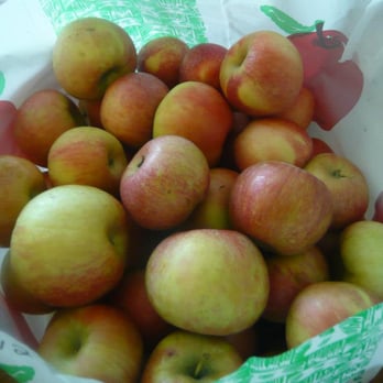 Triple B Farms - Mixture of Honey Crisp and Gala - Pick Your Own Farms Near Me - Monongahela, Pennsylvania Triple B Farms - Mixture of Honey Crisp and Gala - Pick Your Own Farms Near Me - Monongahela, Pennsylvania