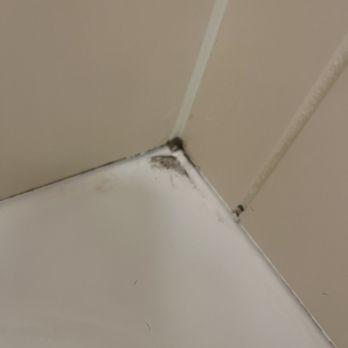 Rod 'N' Reel Resort - Black mold, dirty bathtub - Resorts Near Me - Chesapeake Beach, Maryland Rod 'N' Reel Resort - Black mold, dirty bathtub - Resorts Near Me - Chesapeake Beach, Maryland