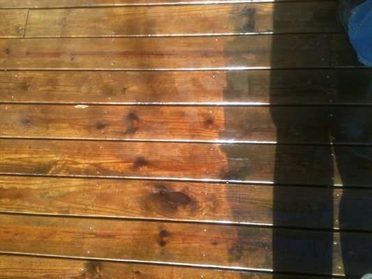 SHINE BRIGHT WINDOW & GUTTER CLEANING - Updated January 2025 - 19