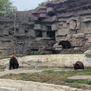 Detroit Zoo - Zoos Near Me - Royal Oak, Michigan