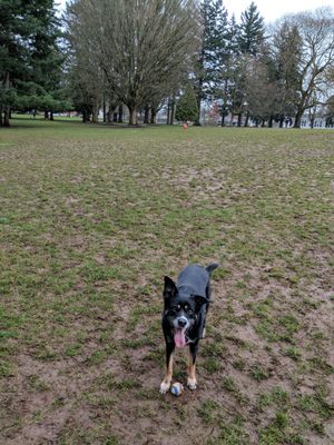 WOODSTOCK PARK Updated March 2025 14 Photos & 24 Reviews SE 47th