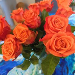 Tom Thumb - Friday's Flowers.. bargain at $12