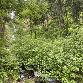 Wahkeena Falls - Parks Near Me - Troutdale, Oregon