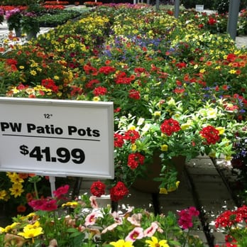 Schaefer Greenhouses - Huge patio pots at prices less expensive prices than other local garden centers. - Nurseries & Gardening Near Me - Montgomery, Illinois