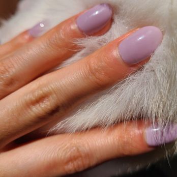 Sunshine Nail & Spa - Gel manicure - Nail Salons Near Me - Hatboro, Pennsylvania Sunshine Nail & Spa - Gel manicure - Nail Salons Near Me - Hatboro, Pennsylvania