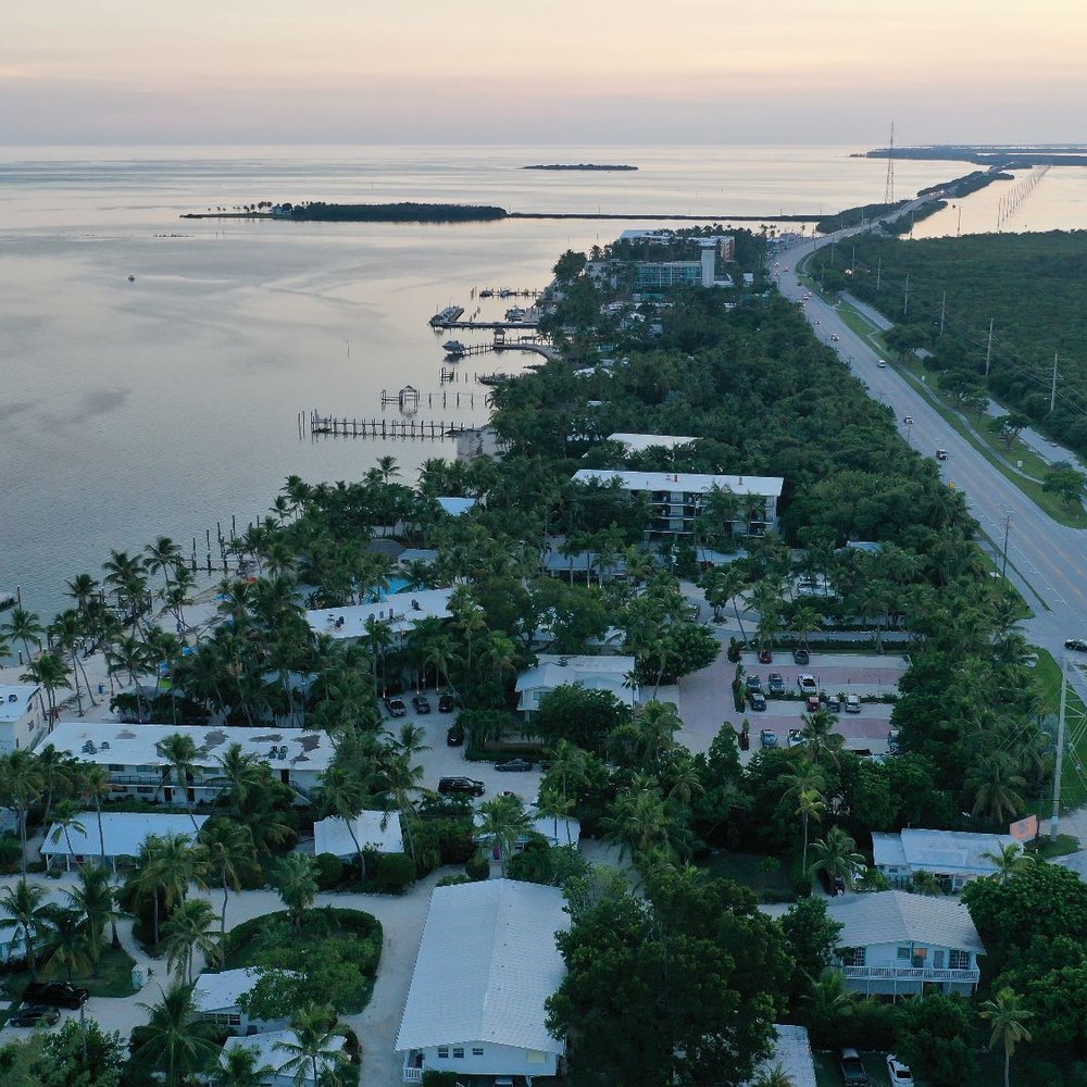 Pines and Palms Resort - More of the resort. - Resorts Near Me - Islamorada, Florida Pines and Palms Resort - More of the resort. - Resorts Near Me - Islamorada, Florida