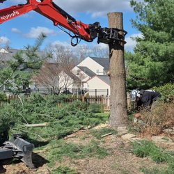 Trostle’s Tree Service