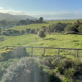 Roundstone Farm - View from the Ridge Room - Hotels Near Me - Olema, California Roundstone Farm - View from the Ridge Room - Hotels Near Me - Olema, California