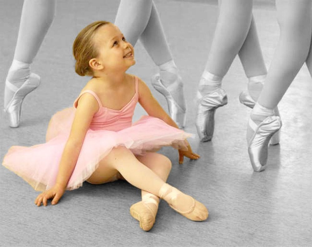 International Ballet of Florida - social services organization in Bradenton, FL