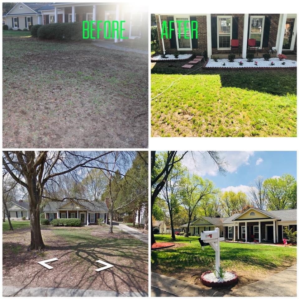 D & D Tree Service - tree service in Charlotte, NC