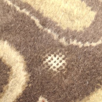 All American Carpet Cleaning - Carpet burn. My thought is after doing this twice he stopped washing it for fear of doing more damage. Hence the poop stuck at the other en - Carpet Cleaning Near Me - Caldwell, Idaho