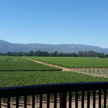 ZD Wines  - Wineries Near Me - Napa, California