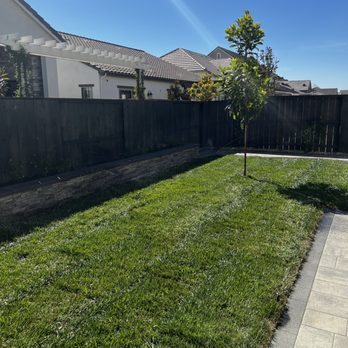 Bella View Landscape - Landscaping Near Me