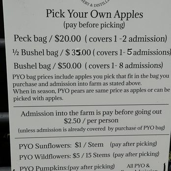 Echo Hill Orchards & Winery - Wine Tasting Room Near Me - Monson, Massachusetts
