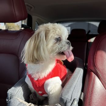 Perfect Pet Salon - Pet Groomers Near Me - Concord, California Perfect Pet Salon - Pet Groomers Near Me - Concord, California
