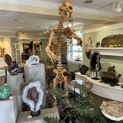 Gibson's Gallery
