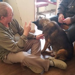 Winslow Veterinary Clinic - A caring vet examining one of his patients