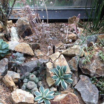 Denver Botanic Gardens - Succulent house - Botanical Gardens Near Me - Denver, Colorado