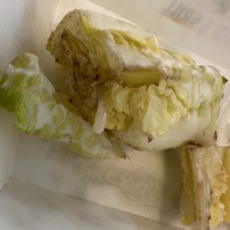 Nasty old lettuce Nasty old lettuce