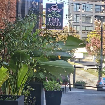 Pink Lotus Thai Restaurant - Thai Near Me - Atlanta, Georgia