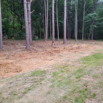Hilton Tree Service - Tree Services Near Me - Oxford, North Carolina Hilton Tree Service - Tree Services Near Me - Oxford, North Carolina