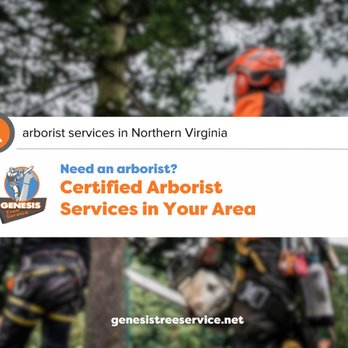 Genesis Tree Service - Tree Services Near Me - Fairfax, Virginia Genesis Tree Service - Tree Services Near Me - Fairfax, Virginia