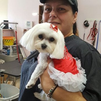 A Passion For Pets - Pet Groomers Near Me - Gilbert, Arizona