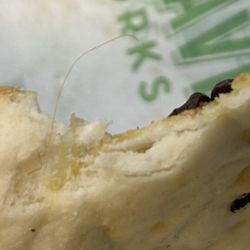 DoubleDave's Pizzaworks - Hair baked into pizza