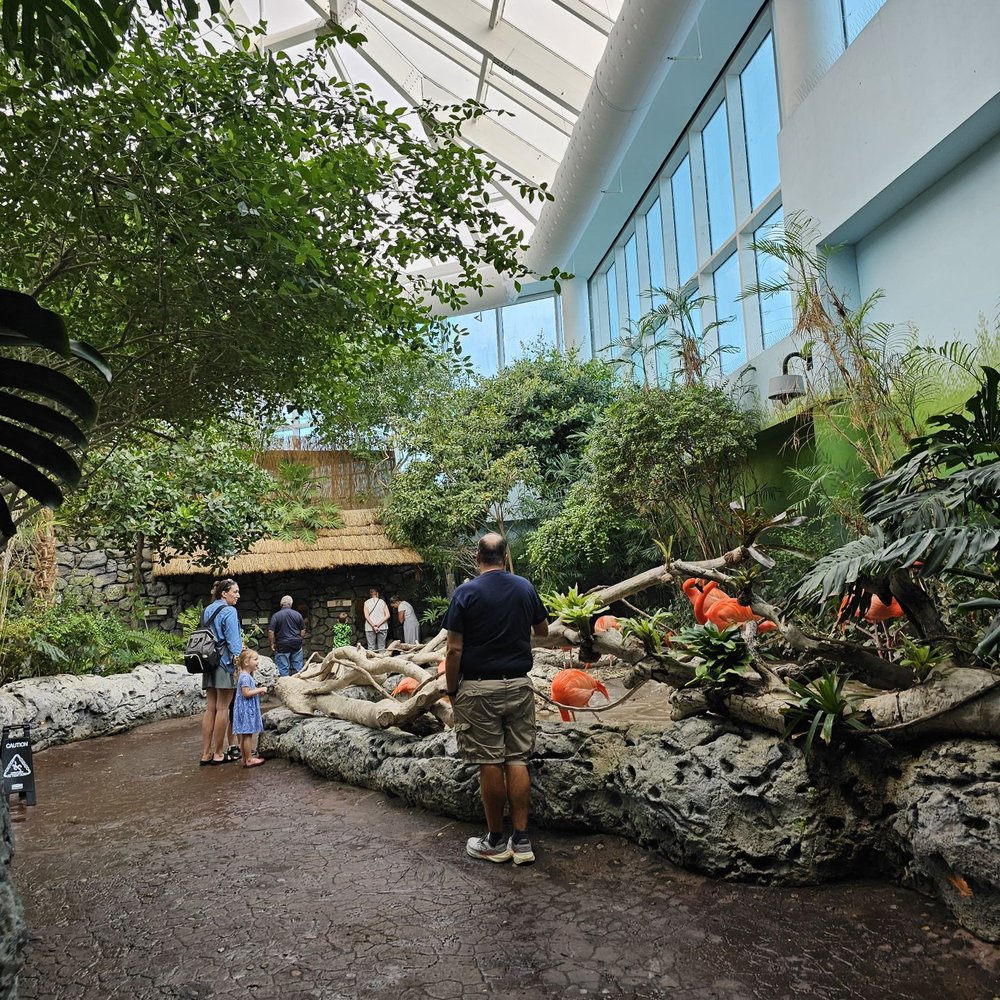 Texas State Aquarium - Aquariums Near Me - Corpus Christi, Texas Texas State Aquarium - Aquariums Near Me - Corpus Christi, Texas
