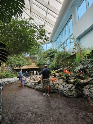 Texas State Aquarium by null