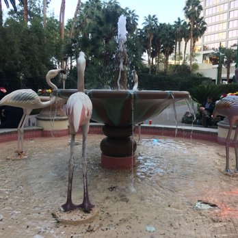 Flamingo Las Vegas - Hotels Near Me - Las Vegas, Nevada Flamingo Las Vegas - Hotels Near Me - Las Vegas, Nevada