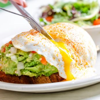 The Toasted Yolk Cafe - Breakfast & Brunch Near Me - Katy, Texas The Toasted Yolk Cafe - Breakfast & Brunch Near Me - Katy, Texas