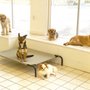 RUFF RIders Dog Day Camp
