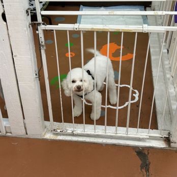 Under One Woof - Pet Groomers Near Me - Alameda, California Under One Woof - Pet Groomers Near Me - Alameda, California
