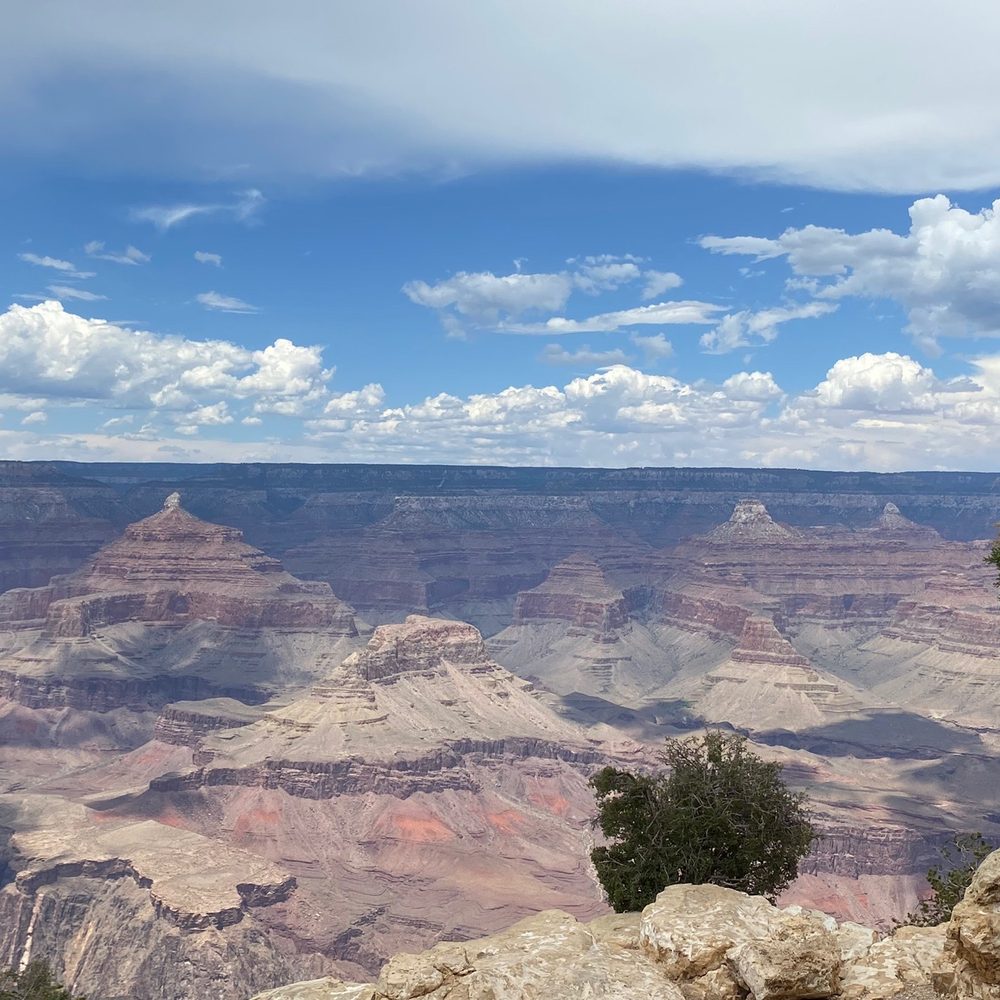 Grand Canyon Adventures - View - Tours Near Me - Flagstaff, Arizona Grand Canyon Adventures - View - Tours Near Me - Flagstaff, Arizona