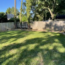 Bernie Amusements Backyard Rentals - The bounce has that was delivered.
