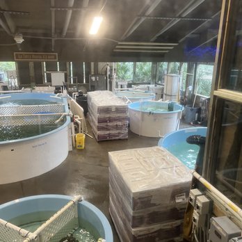 Marine Science Center - Aquariums Near Me - Ponce Inlet, Florida