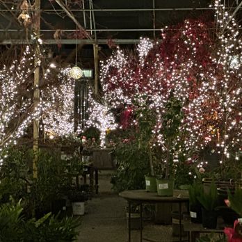 High Hand Cafe - New American Near Me - Loomis, California High Hand Cafe - New American Near Me - Loomis, California