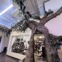 Photo of The Story Room Collective