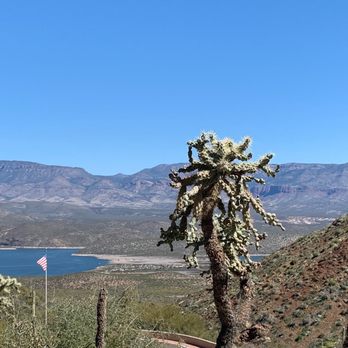 Tonto National Forest - View from the Cactus path - Parks Near Me - Mesa, Arizona Tonto National Forest - View from the Cactus path - Parks Near Me - Mesa, Arizona
