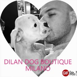 Dilan Dog Boutique