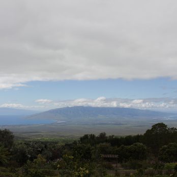 Ali'i Kula Lavender - Tours Near Me - Kula, Hawaii Ali'i Kula Lavender - Tours Near Me - Kula, Hawaii